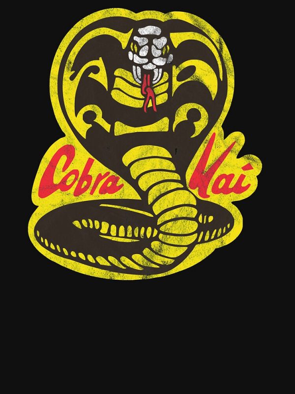 artwork Offical Karl Jacobs Merch